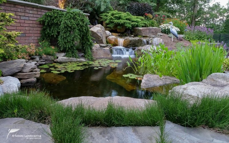 A pond with a waterfall and rocks in the background.