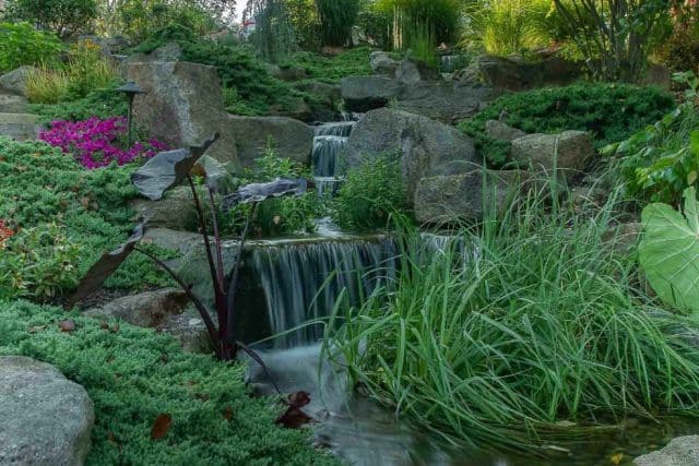 A waterfall in a garden surrounded by rocks and plants.