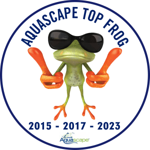 Aquascape top frog 2015 - 2017 - 2023.