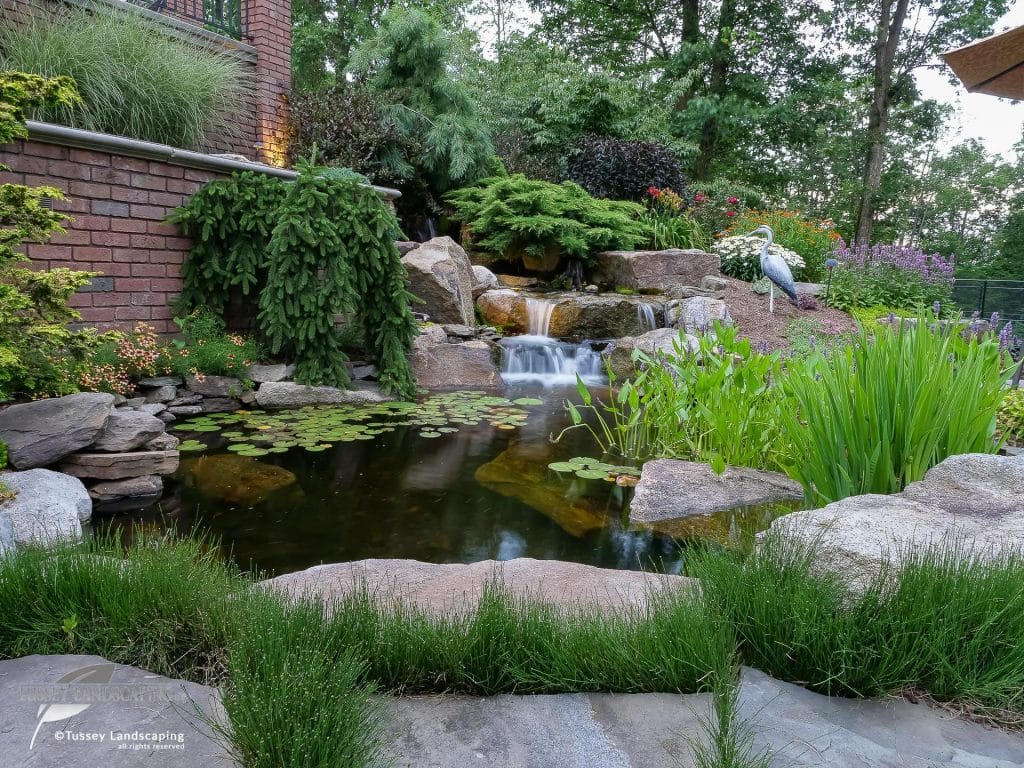 A backyard pond with a waterfall and rocks.