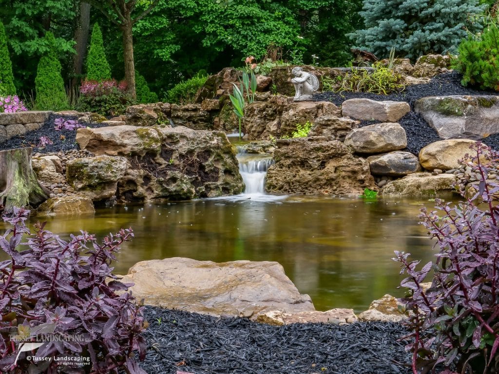 A pond surrounded by rocks and plants.