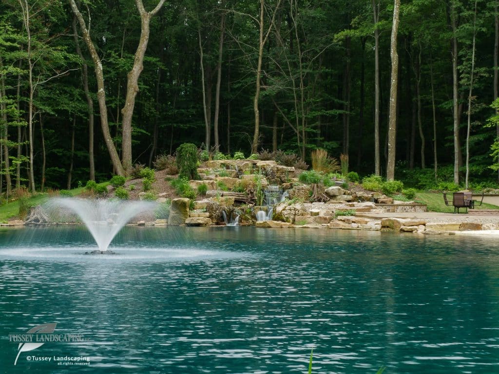 A pond with a fountain in the middle of a wooded area.