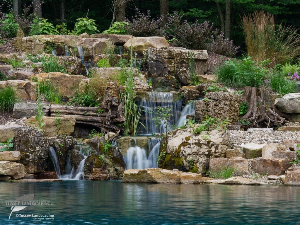 A waterfall in a pond with rocks and plants.