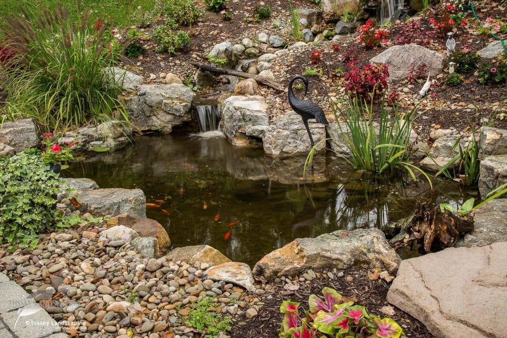 A pond in a garden with rocks and plants.