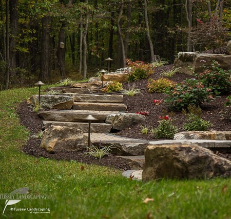 A stone stairway in the middle of a wooded area.
