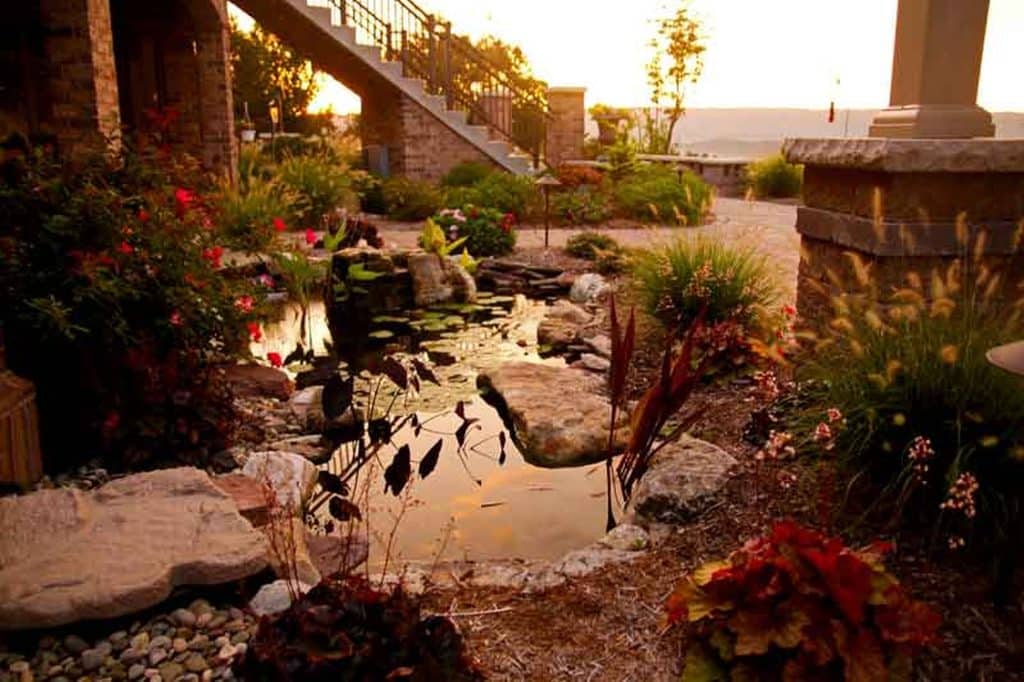 A garden with a pond and rocks at sunset.