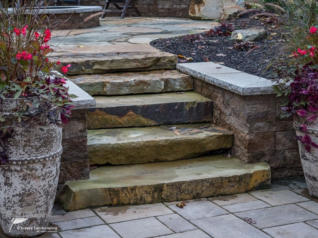 Stone steps leading to a patio with flower pots.