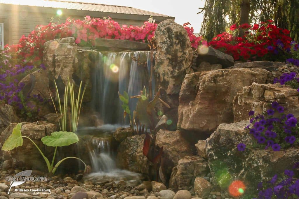 A waterfall in a garden with flowers and rocks.