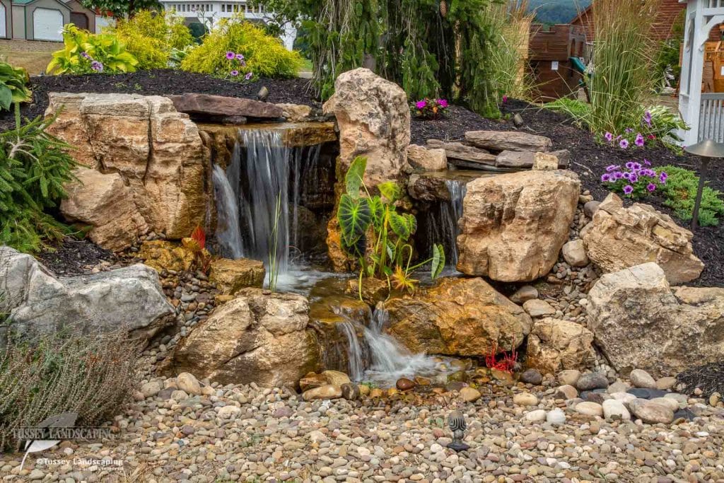 A waterfall in a backyard with rocks and flowers.