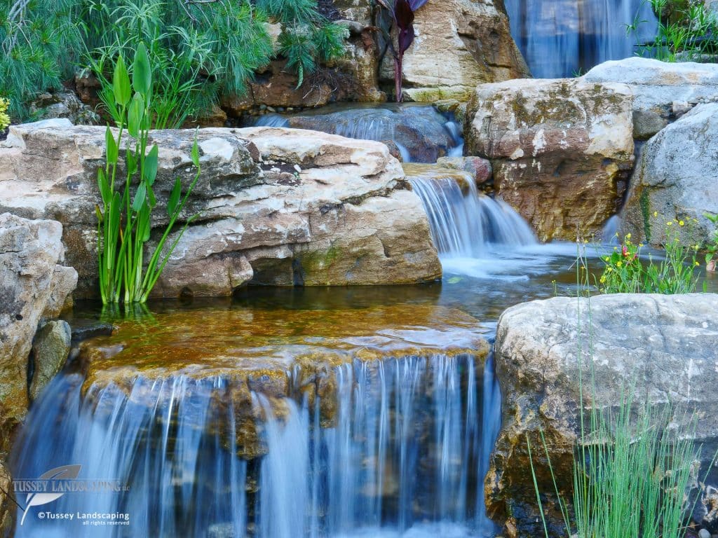 A pond with a waterfall and rocks.