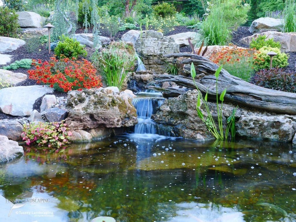 A pond surrounded by rocks and flowers.