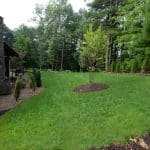landscaping with grass and mulch beds
