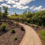 paver sidewalk with landscaping