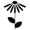 native plants