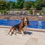 outdoor living space with in ground swimming pool, water falls, water feature, patio, pavers, pavilion, fire pit, natural stone stairs, and retaining walls