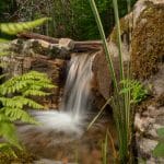 waterfall on backyard pond