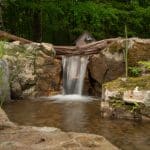 waterfall on backyard pond