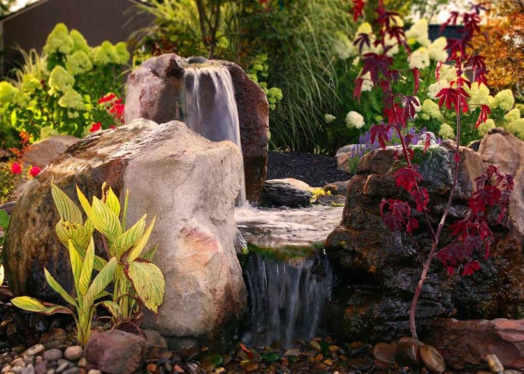 Header Image Resized