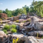 boulders with a water feature and pond