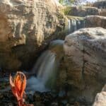 boulders with a water feature and pond