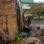 custom waterfall with boulders