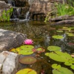 water feature with waterfall, mountain boulders, and landscaping