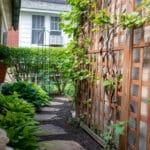 landscaping with natural stepping stones