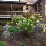 landscaping with native plants