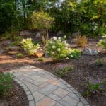 landscaping with native plants with paver sidewalk