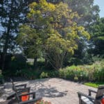 paver patio with landscaping