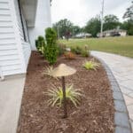 paver side with landscaping and lighting