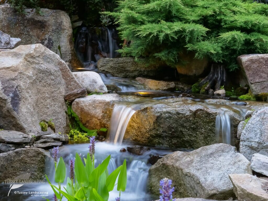 Cascade Waters