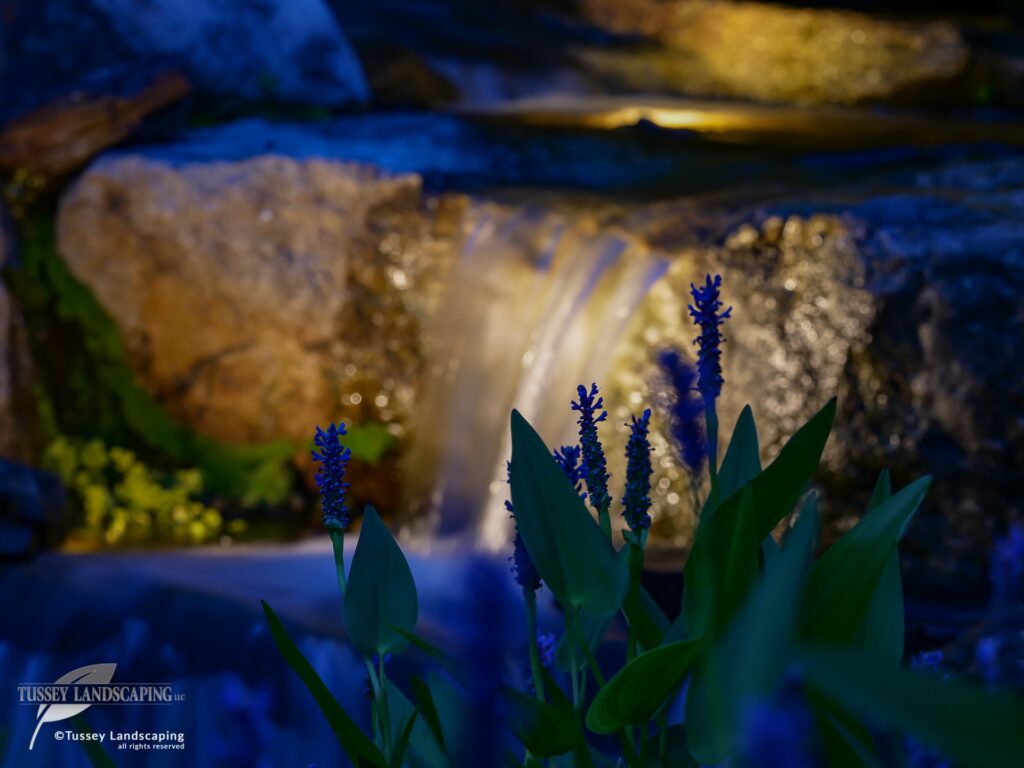 Water Feature Lighting