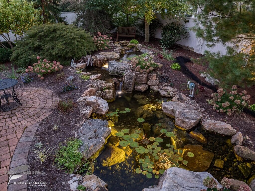 Koi Pond