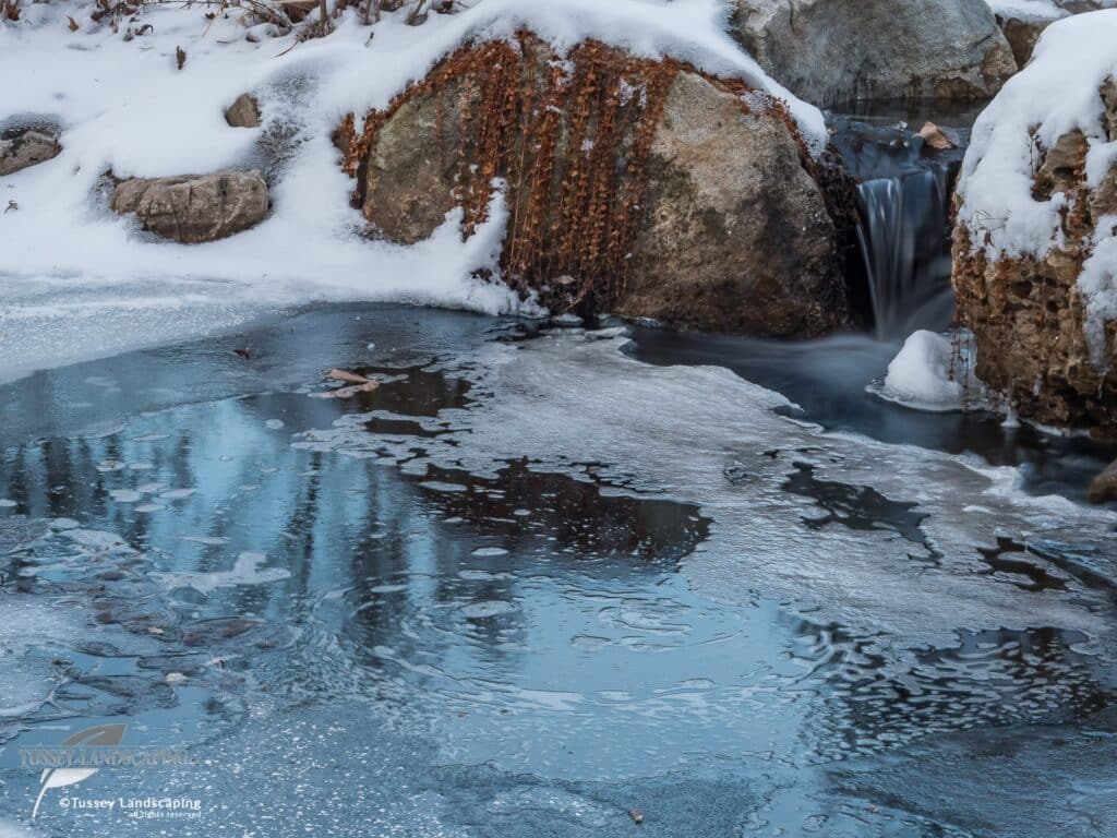 The Koi Premiere Collection Pond in Winter Scene