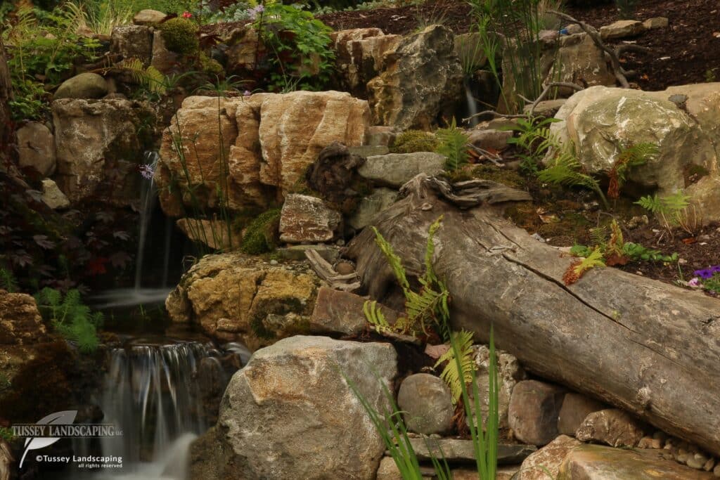Water in Nature