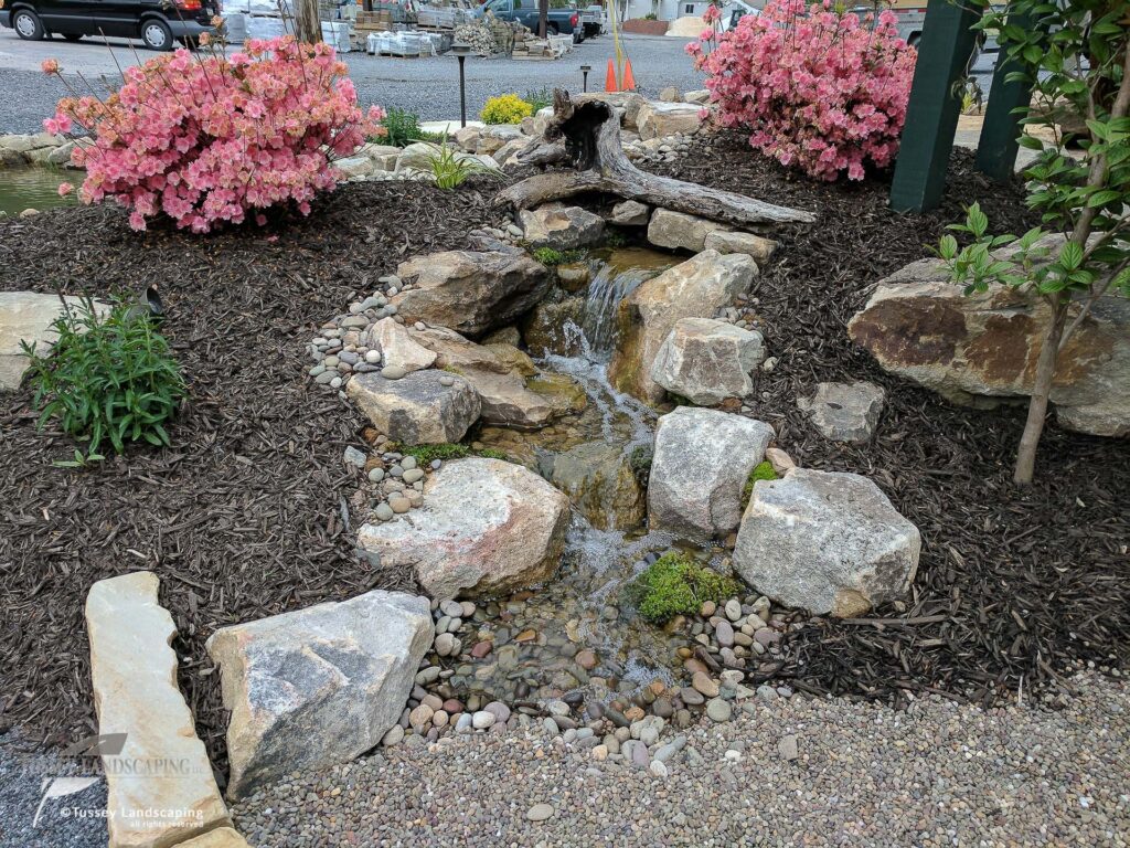 Pondless Stream