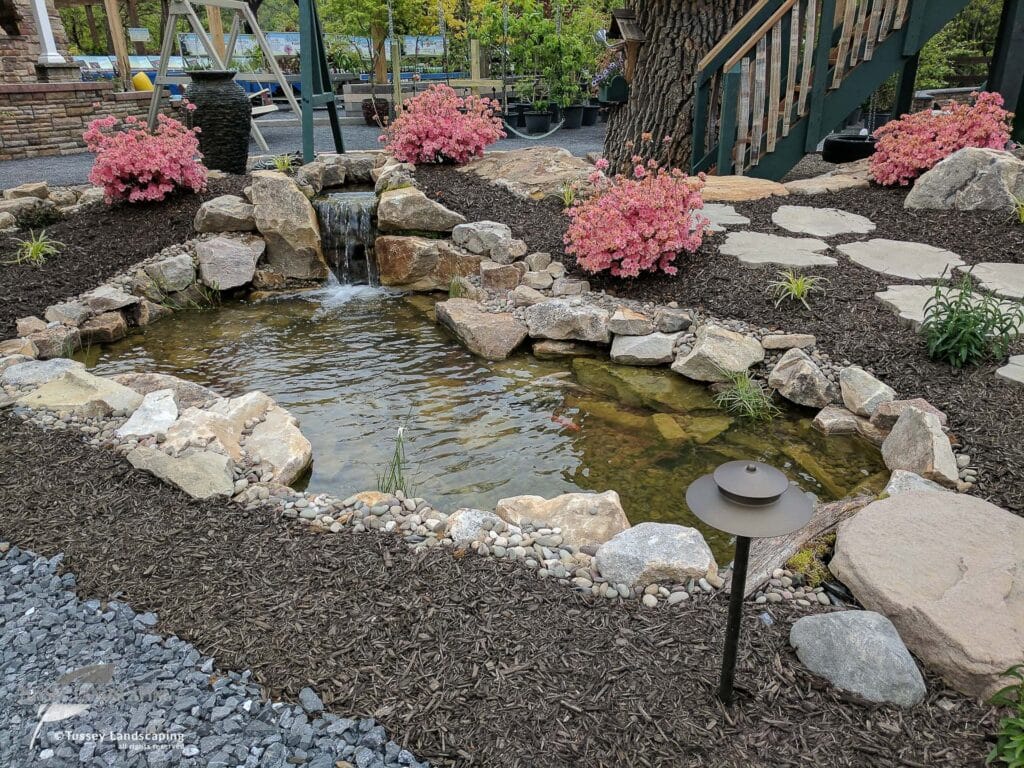 Simplicity Series Pond