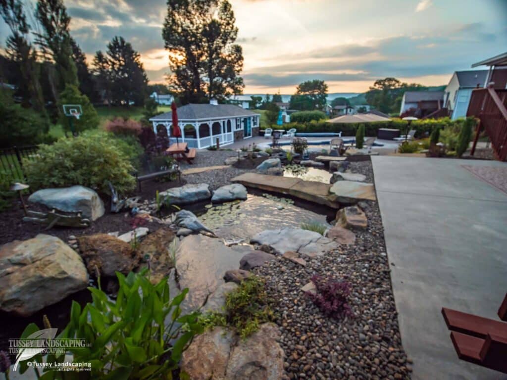 backyard koi ponds duncansville pa