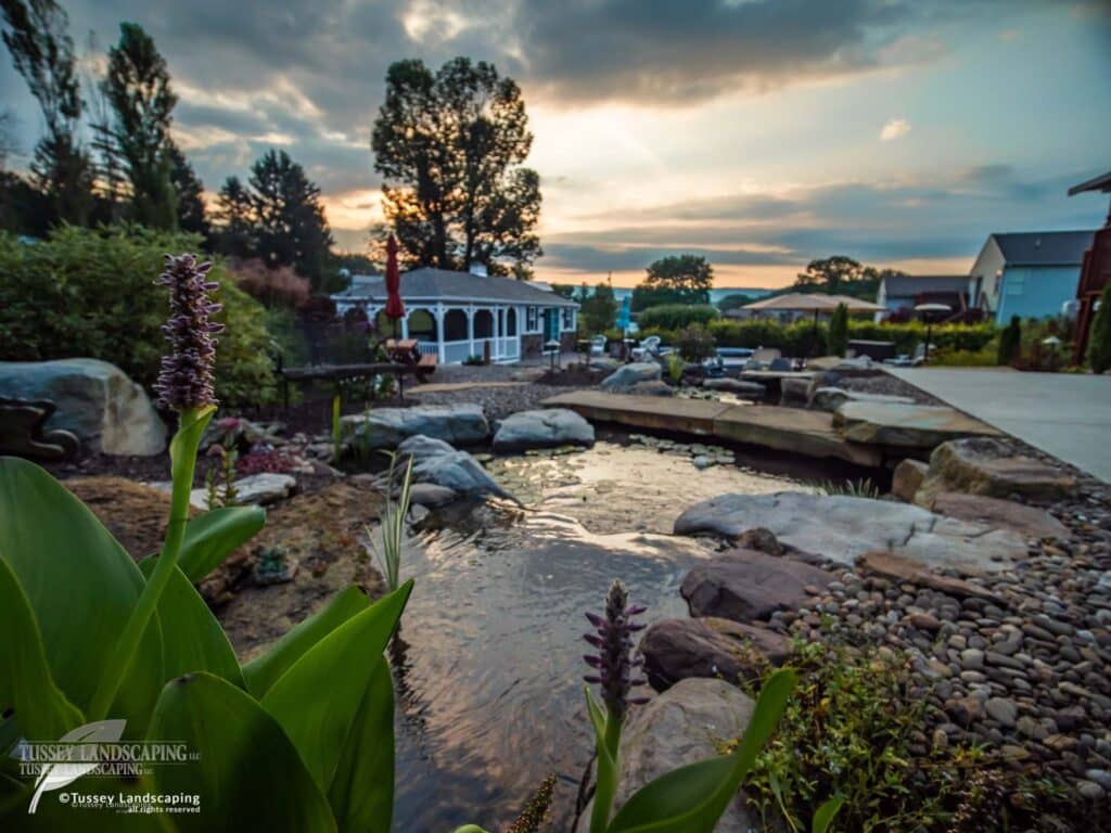 Koi Pond and Stream Overlooking Beautiful Backyard Living Space