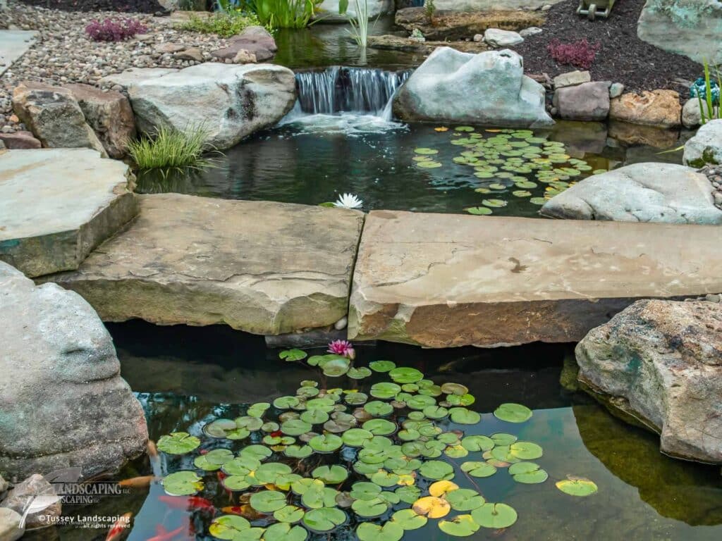 Natural Stone Bridge over Koi Pond