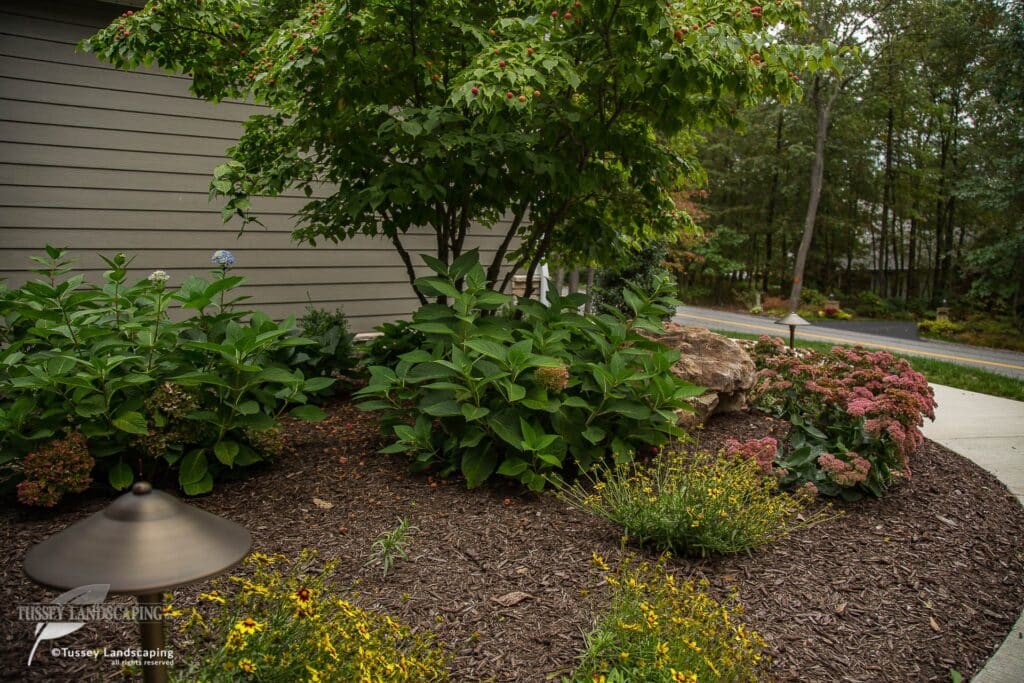 Tussey Landscaping