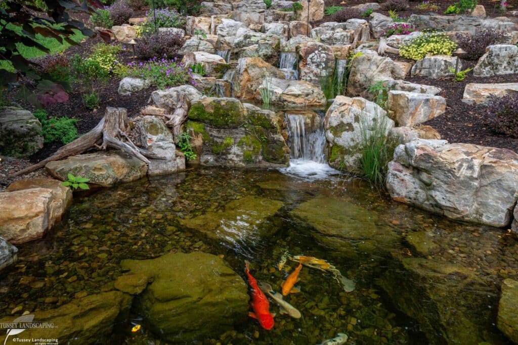 Waterfalls, Water feature, pond, koi pond