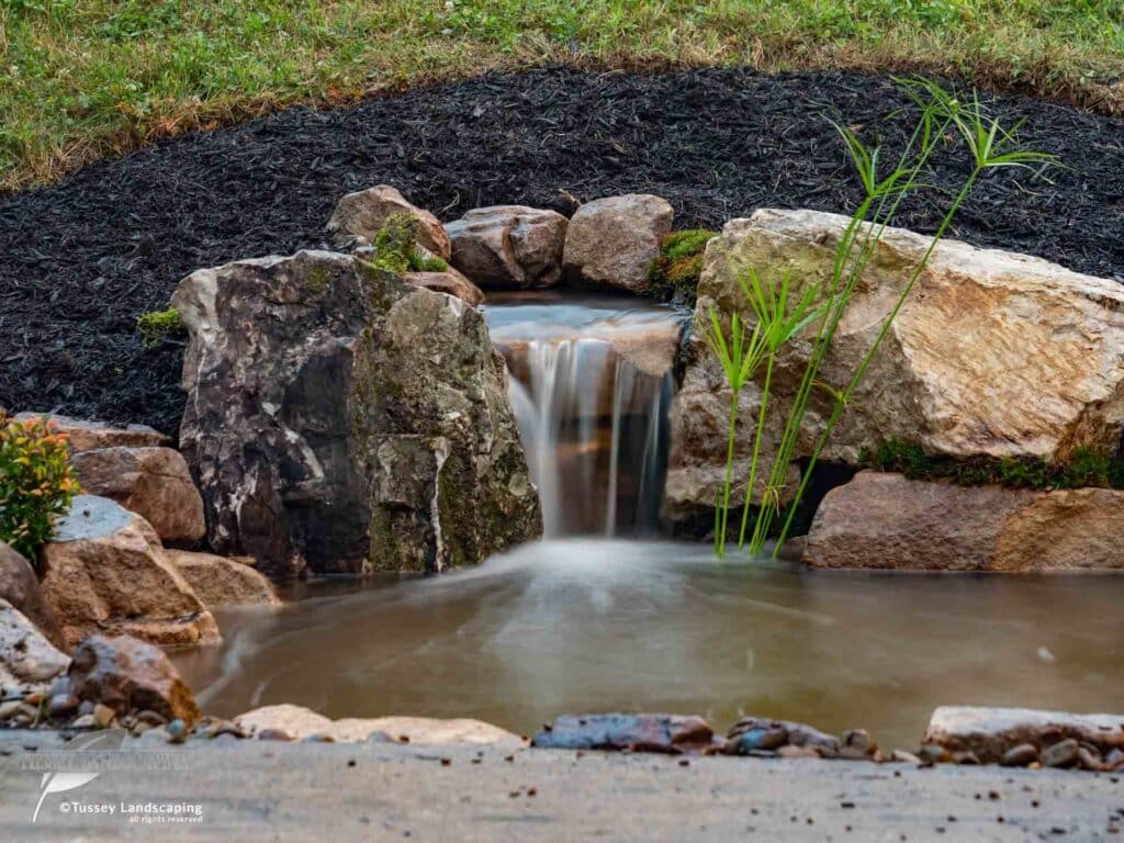 simplicity pond bedford pa