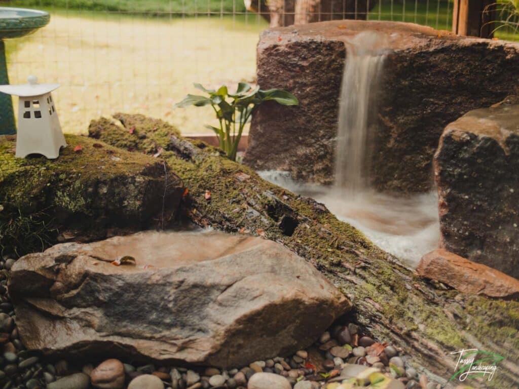 Bubbling Rock