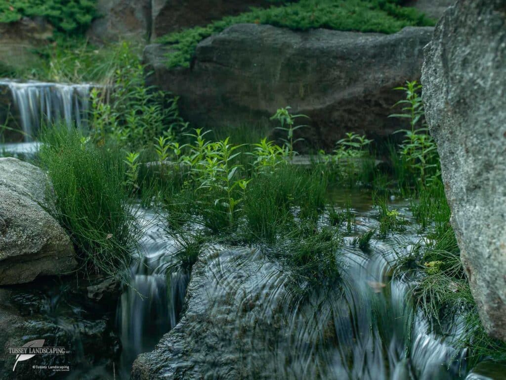 Pondless Stream and Waterfall