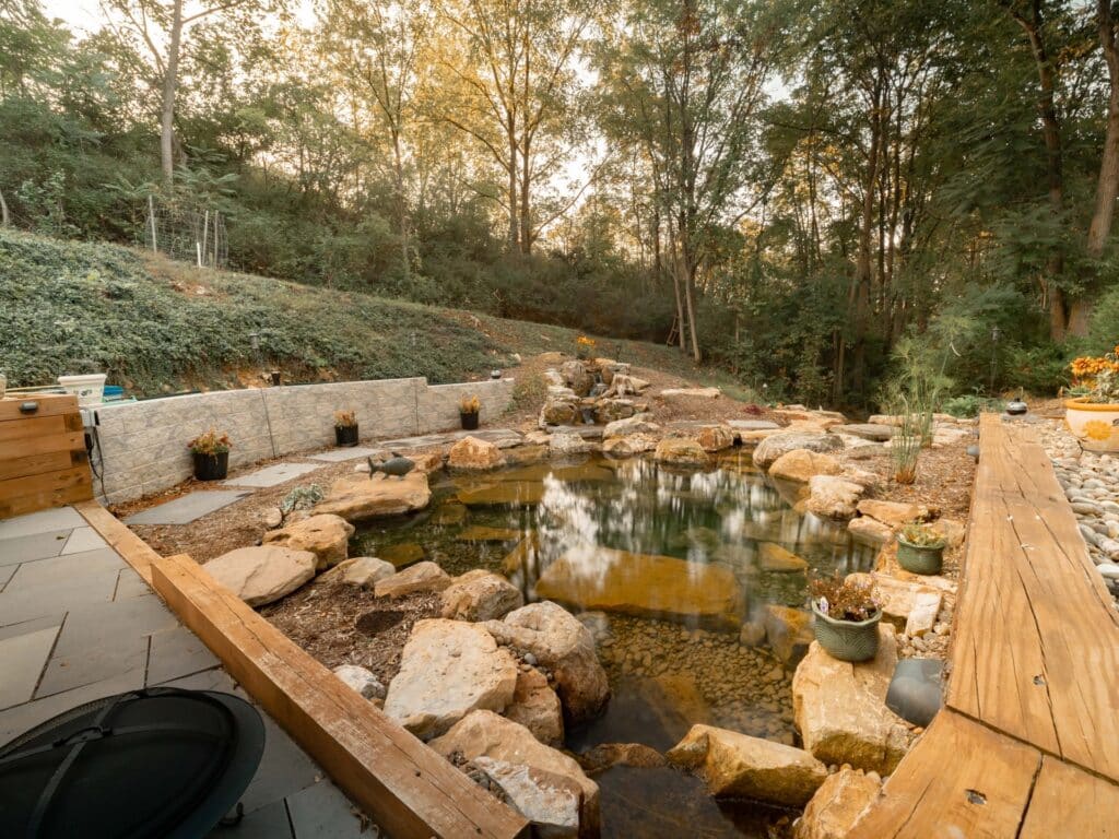 Still Early Morning Pond