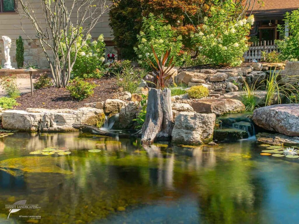kio pond with landscape altoona pa