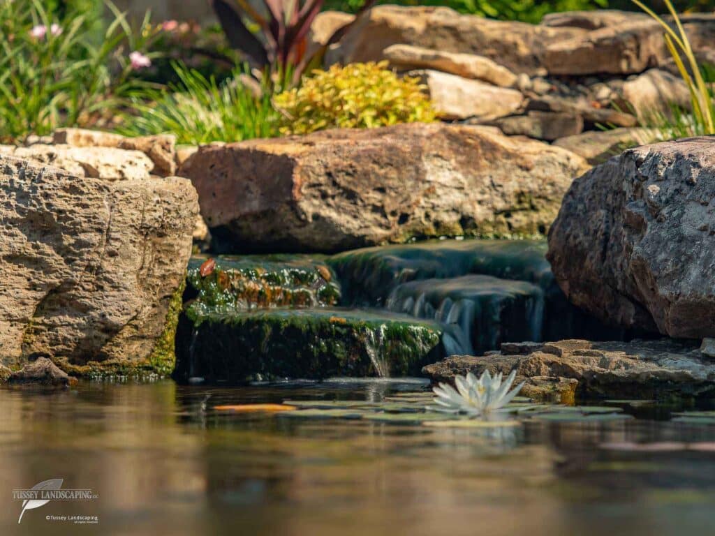 kio pond stream altoona pa