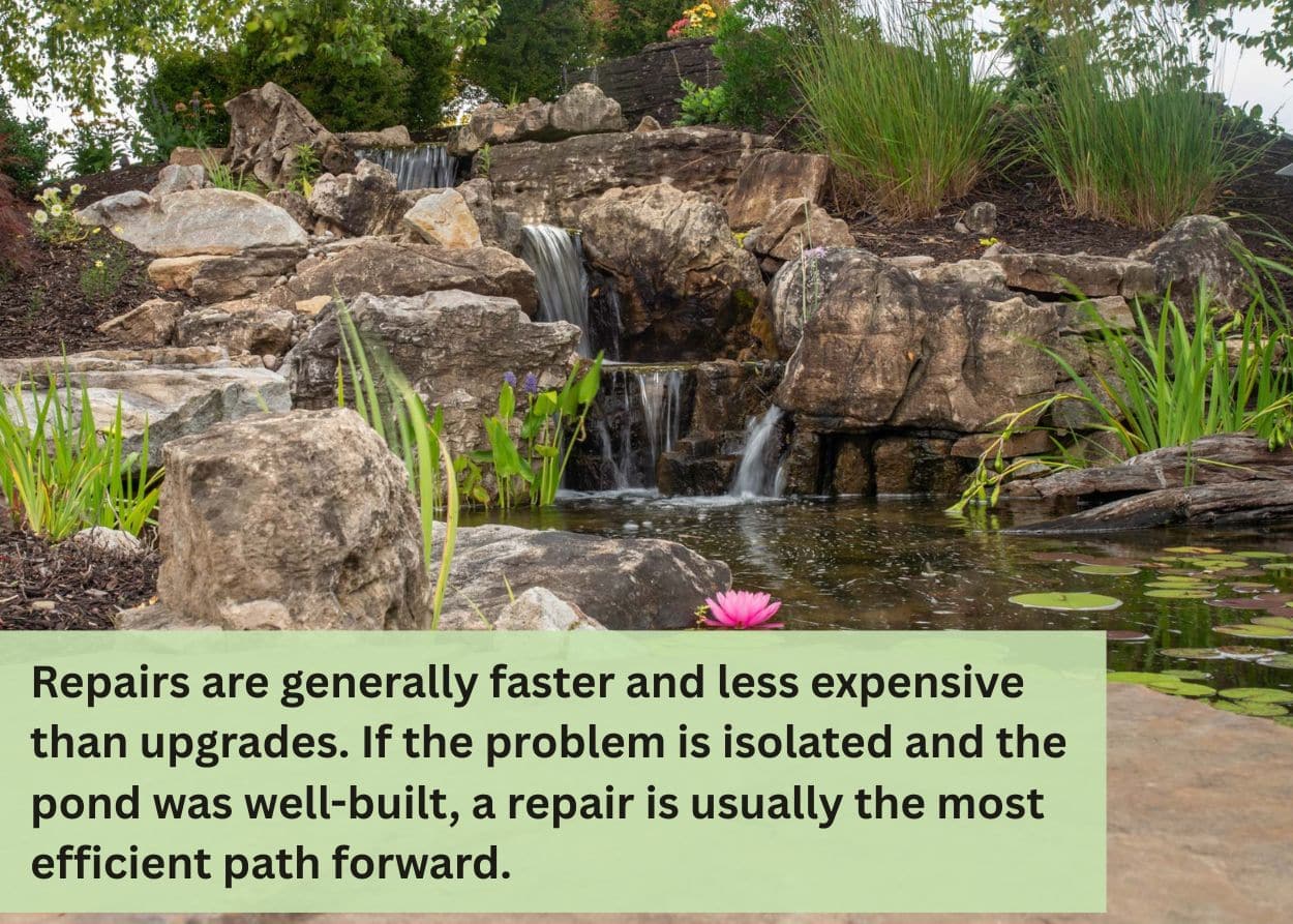 Natural backyard pond with rock waterfalls and aquatic plants after a professional pond repair in Central PA.